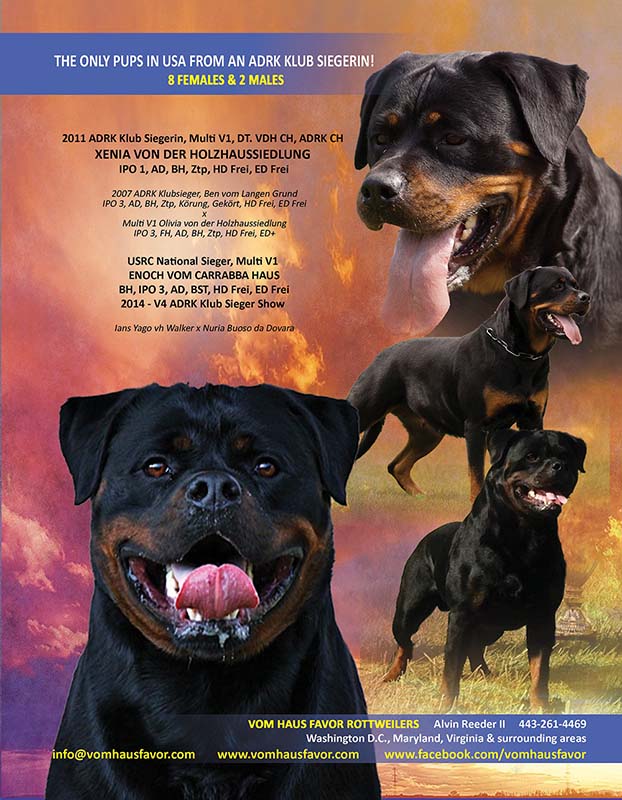 TTRM Xenia and Enoch Pups