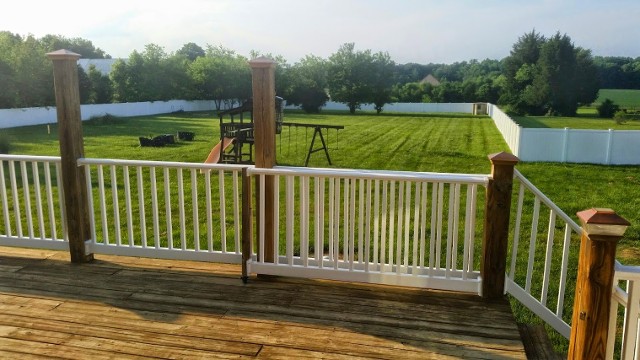 fenced yard rottweiler kennels in maryland