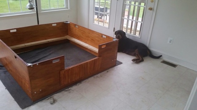 rottweiler puppies for sale in maryland dog whelping box