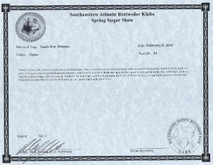 sark spring sieger critique for cash